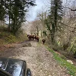 Le Petit Monrepos Avec Bain Nordique