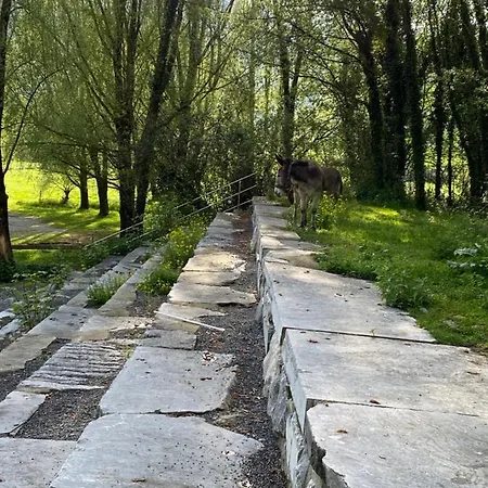 Διαμέρισμα Le Petit Monrepos Avec Bain Nordique Bielle