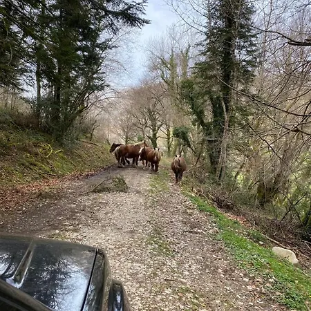 Le Petit Monrepos Avec Bain Nordique
