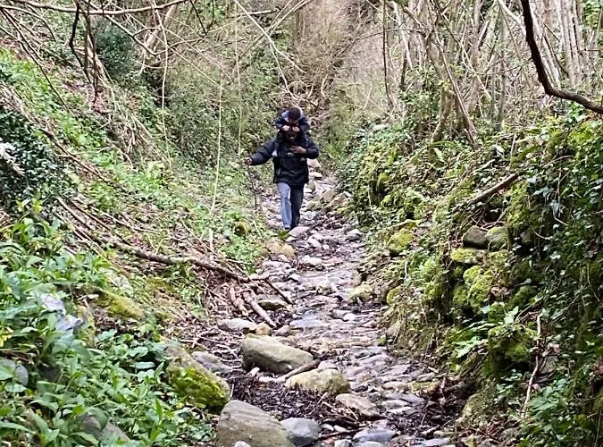 Apartamento Le Petit Monrepos Avec Bain Nordique