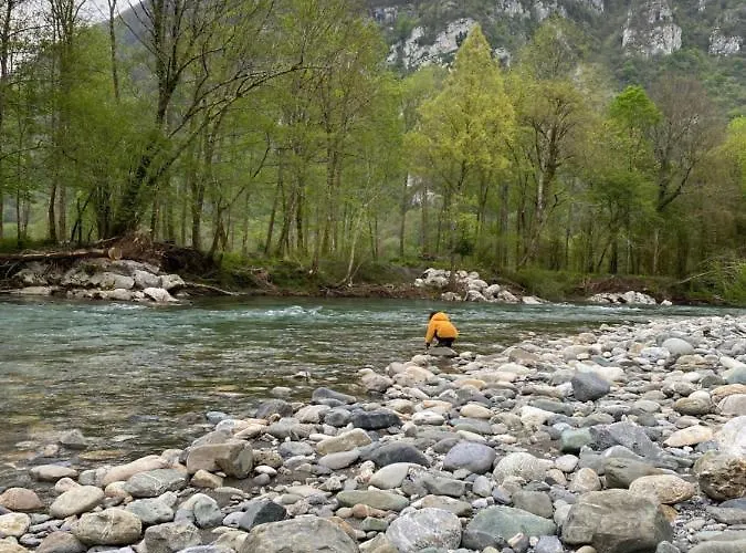 Apartamento Le Petit Monrepos Avec Bain Nordique *